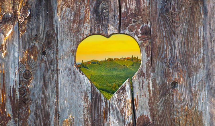 A heart-shaped hole in the fence overlooking the view of the Slovenian field