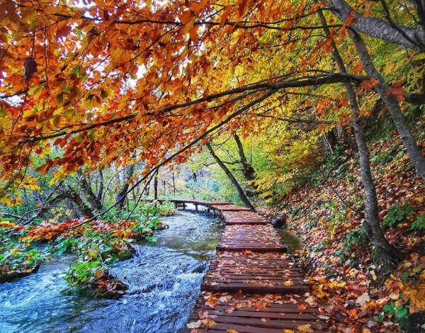 Plitvice Lakes National Park Seasonal Highlights