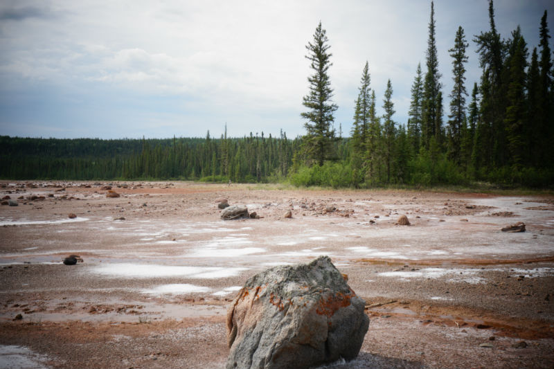 Wood Buffalo National Park Canada