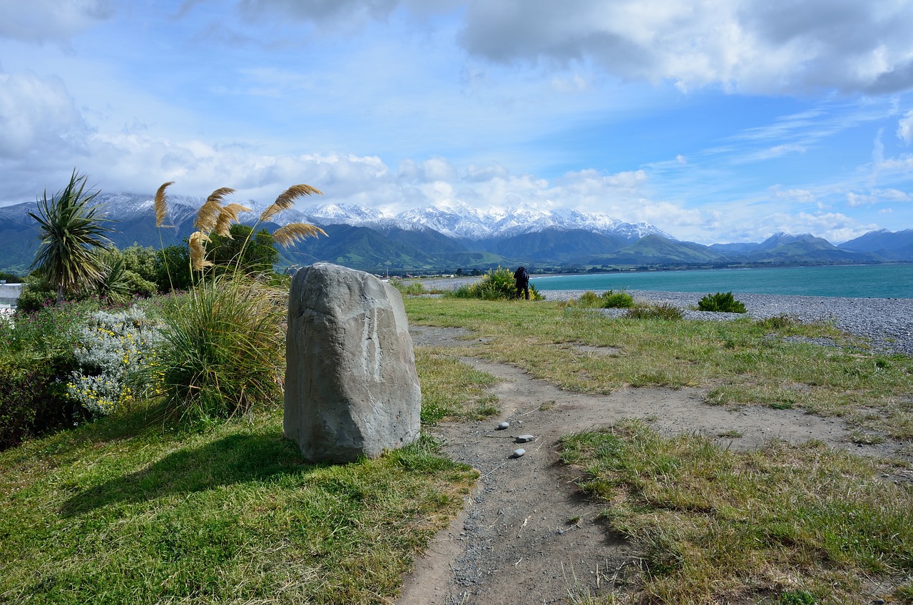 kaikoura, canterbury, new zealand