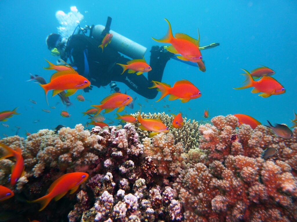 Roatan Scuba Dive